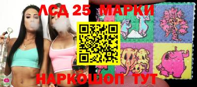 гидропоника Краснознаменск
