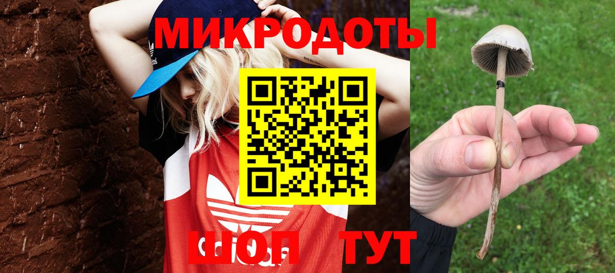 Гусиноозёрск  Галлюциногенные грибы прущие грибы  купить наркотики цена  Вход с VPN 